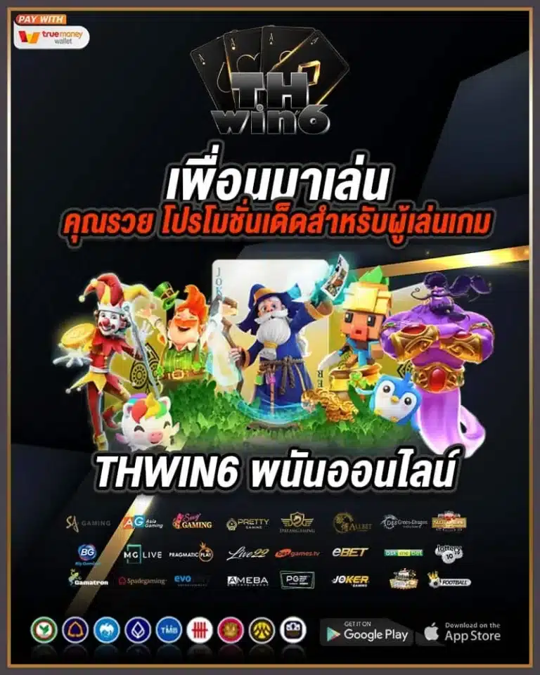 thwin6-เพื่อนมาเล่น